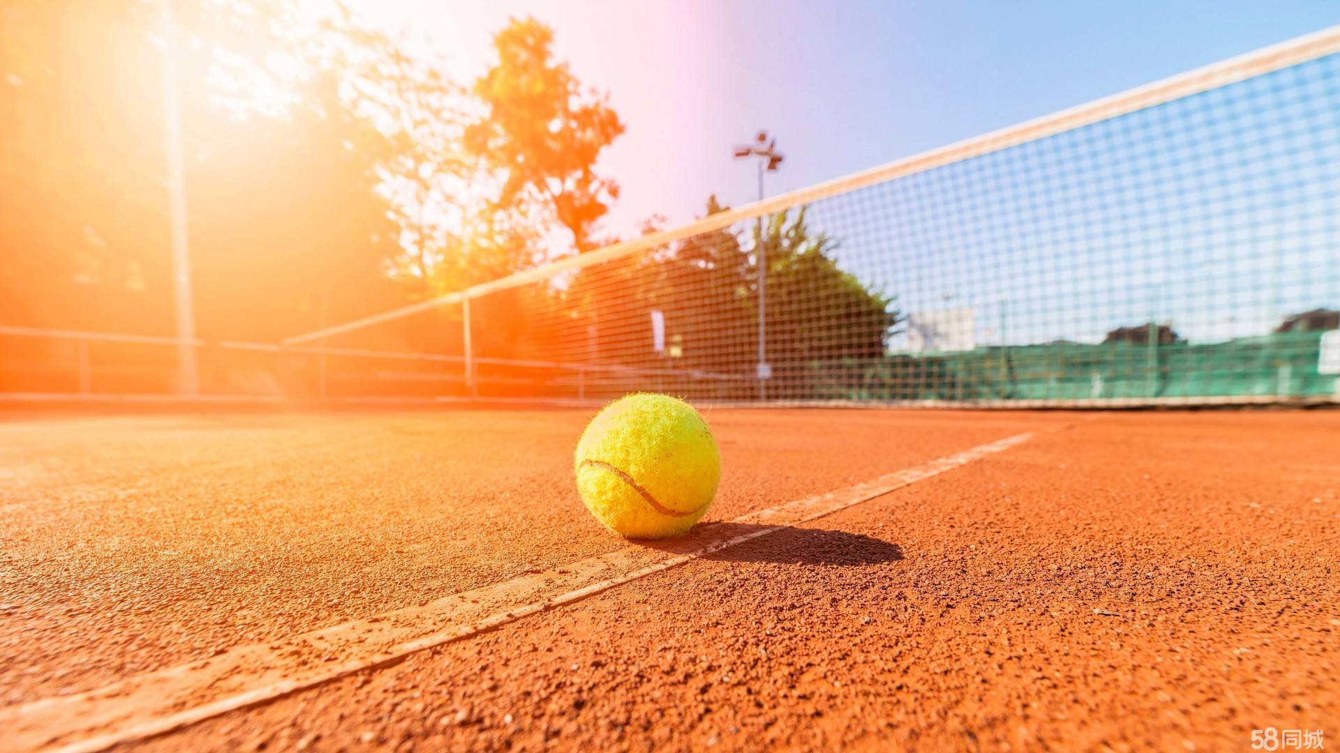 新生代力量 新生代力量