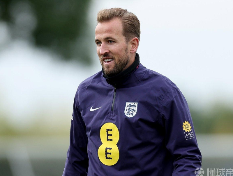 布恩迪亞效 布恩迪亞效