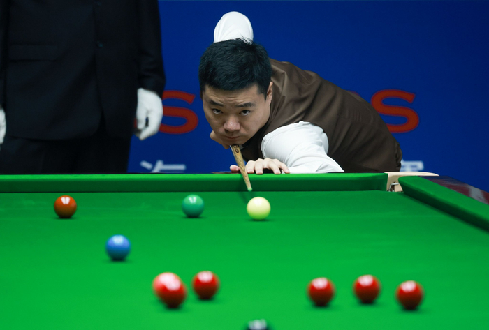 不仅证明了 不仅证明了