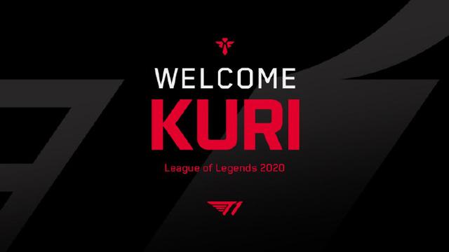 突分结合 突分结合